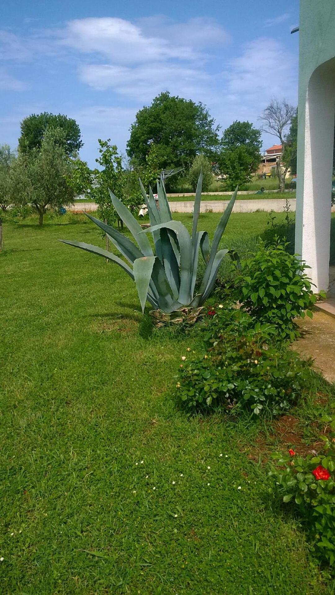 Apartamento Natasa *