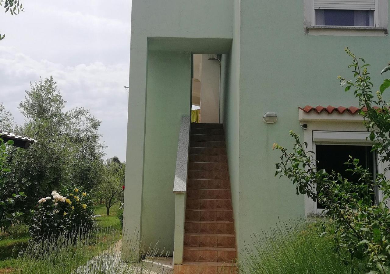 Natasa Apartment