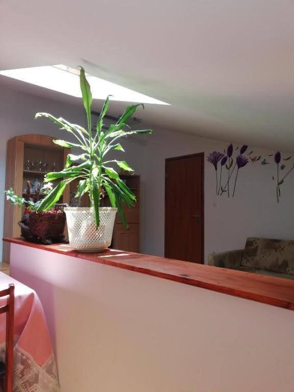 Apartment Natasa Vrsar